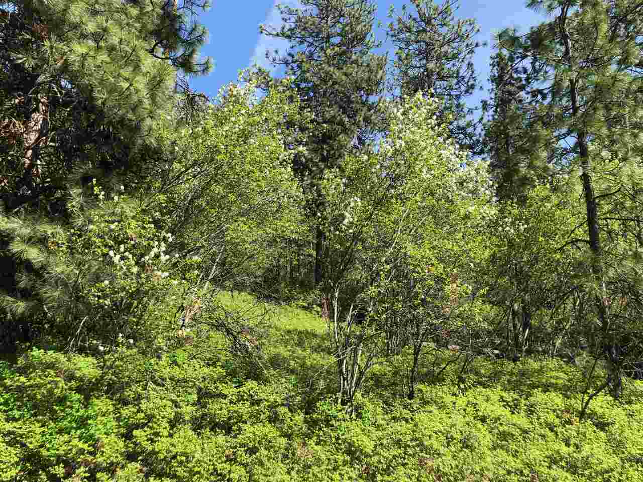6104 East Willow Springs Road Spokane, WA 99223 - Photo 3 of 9 Gallery Image 3