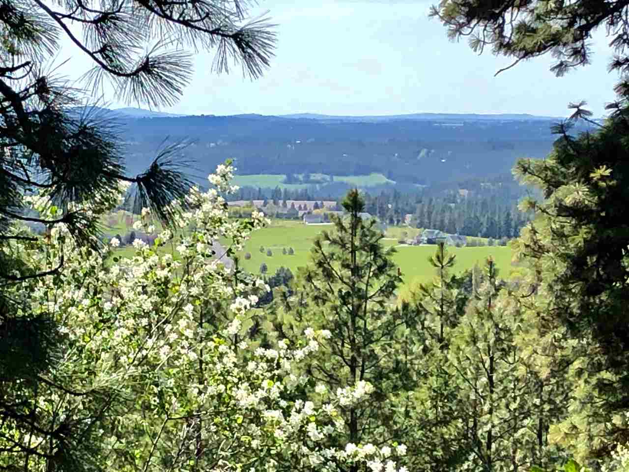 6104 East Willow Springs Road Spokane, WA 99223 - Photo 4 of 9 Gallery Image 4