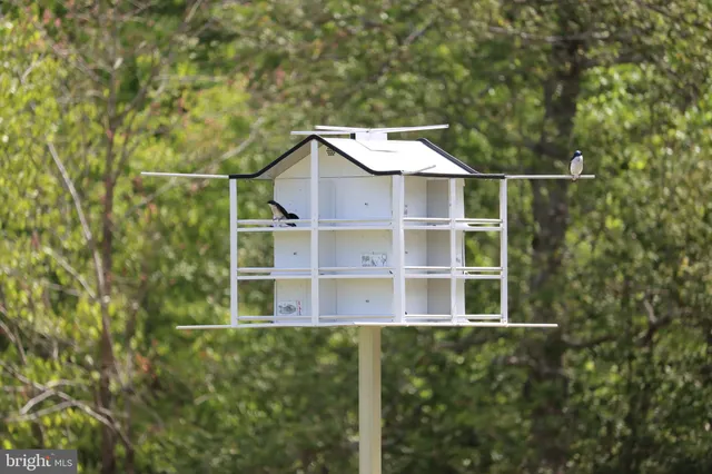 $1,475,000 | 1185 Belle Meade Road, Bumpass, VA 23024