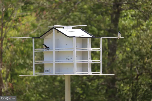 $1,475,000 | 1185 Belle Meade Road, Bumpass, VA 23024