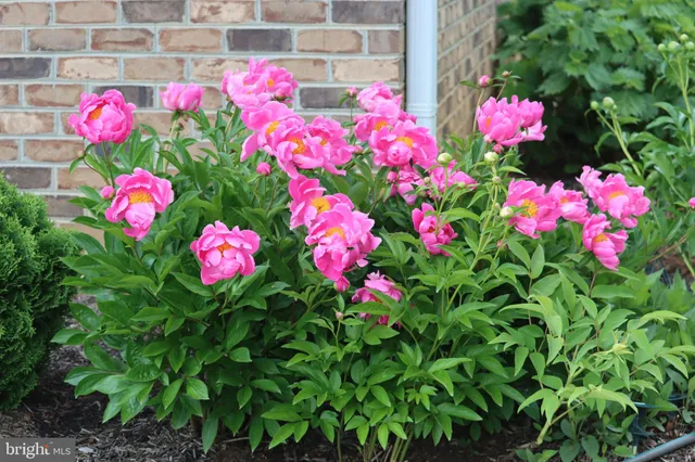 $1,475,000 | 1185 Belle Meade Road, Bumpass, VA 23024