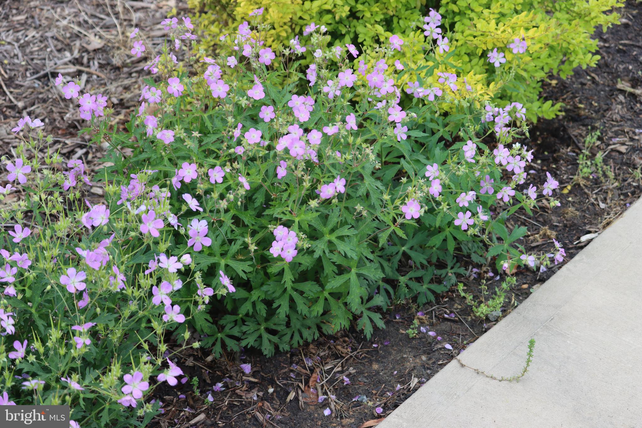 1185 Belle Meade Road Bumpass, VA 23024 - Photo 106 of 116