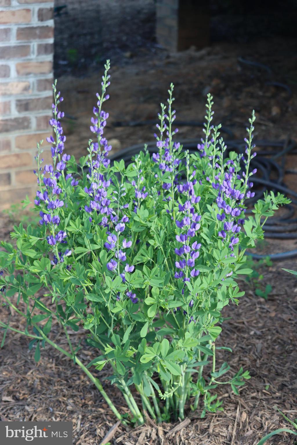 1185 Belle Meade Road Bumpass, VA 23024 - Photo 107 of 116