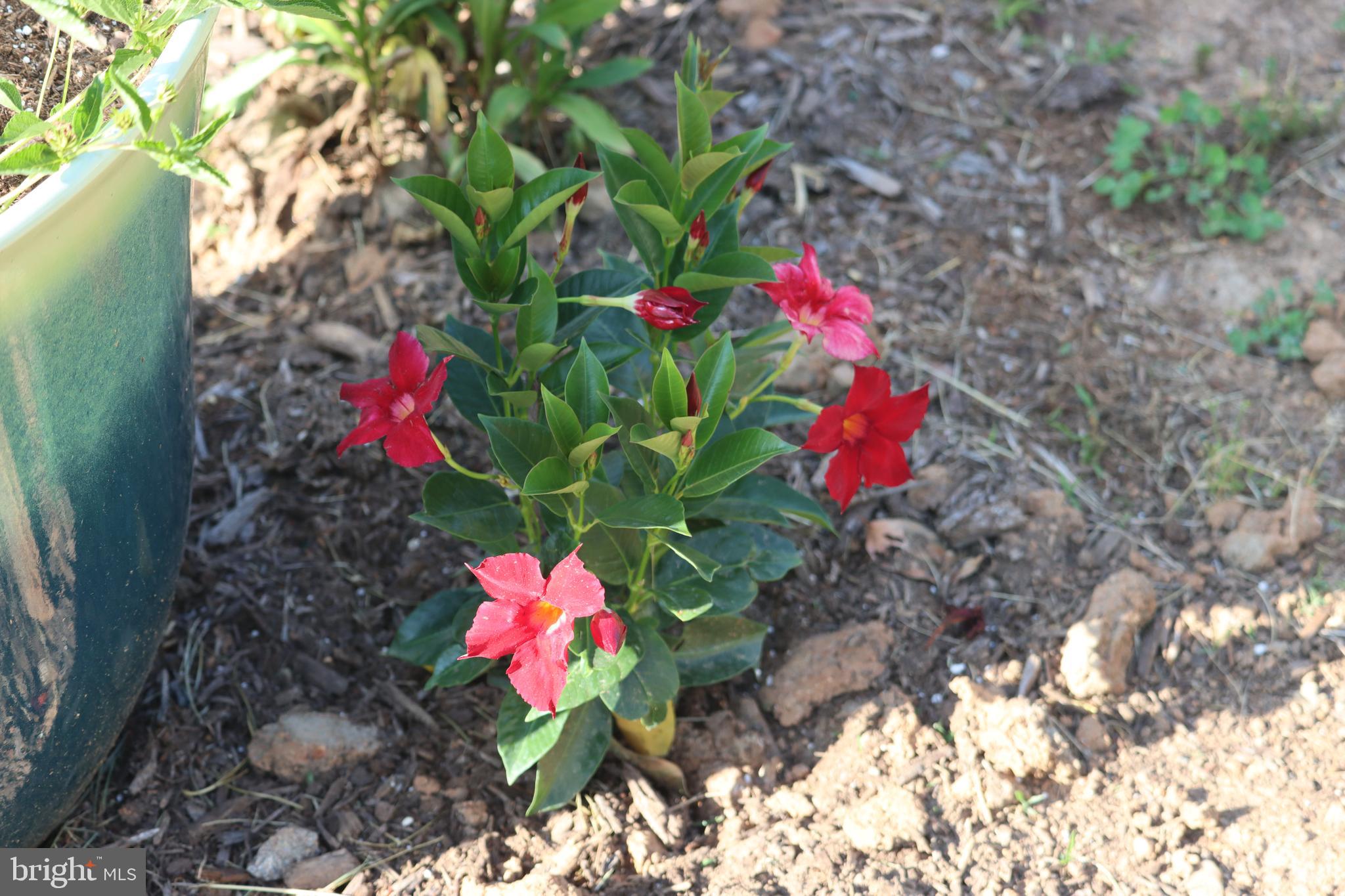 1185 Belle Meade Road Bumpass, VA 23024 - Photo 109 of 116