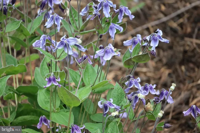 $1,475,000 | 1185 Belle Meade Road, Bumpass, VA 23024