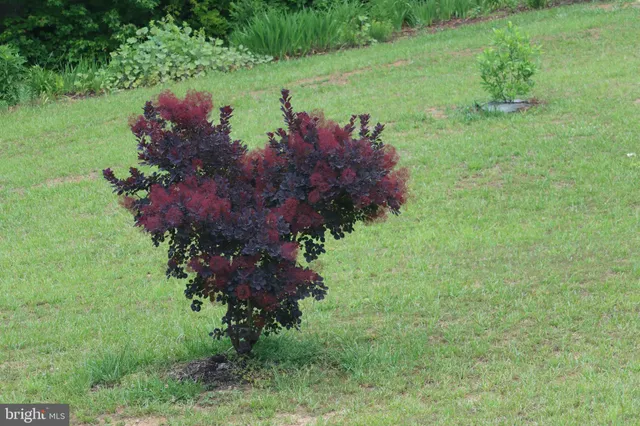 $1,475,000 | 1185 Belle Meade Road, Bumpass, VA 23024