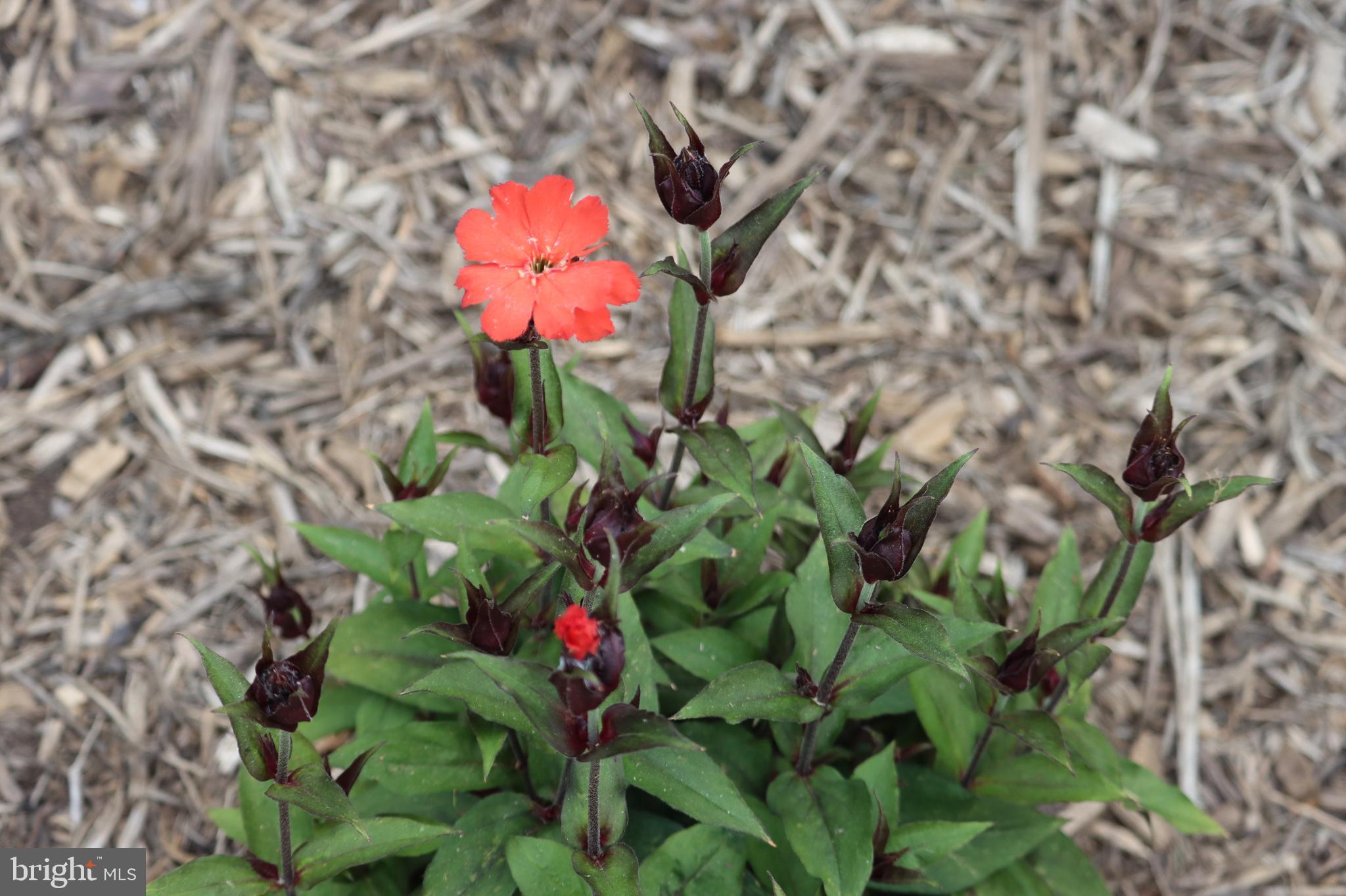 1185 Belle Meade Road Bumpass, VA 23024 - Photo 113 of 116