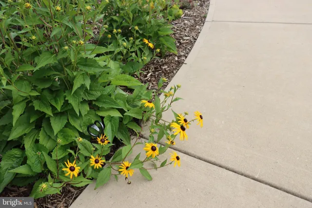 $1,475,000 | 1185 Belle Meade Road, Bumpass, VA 23024