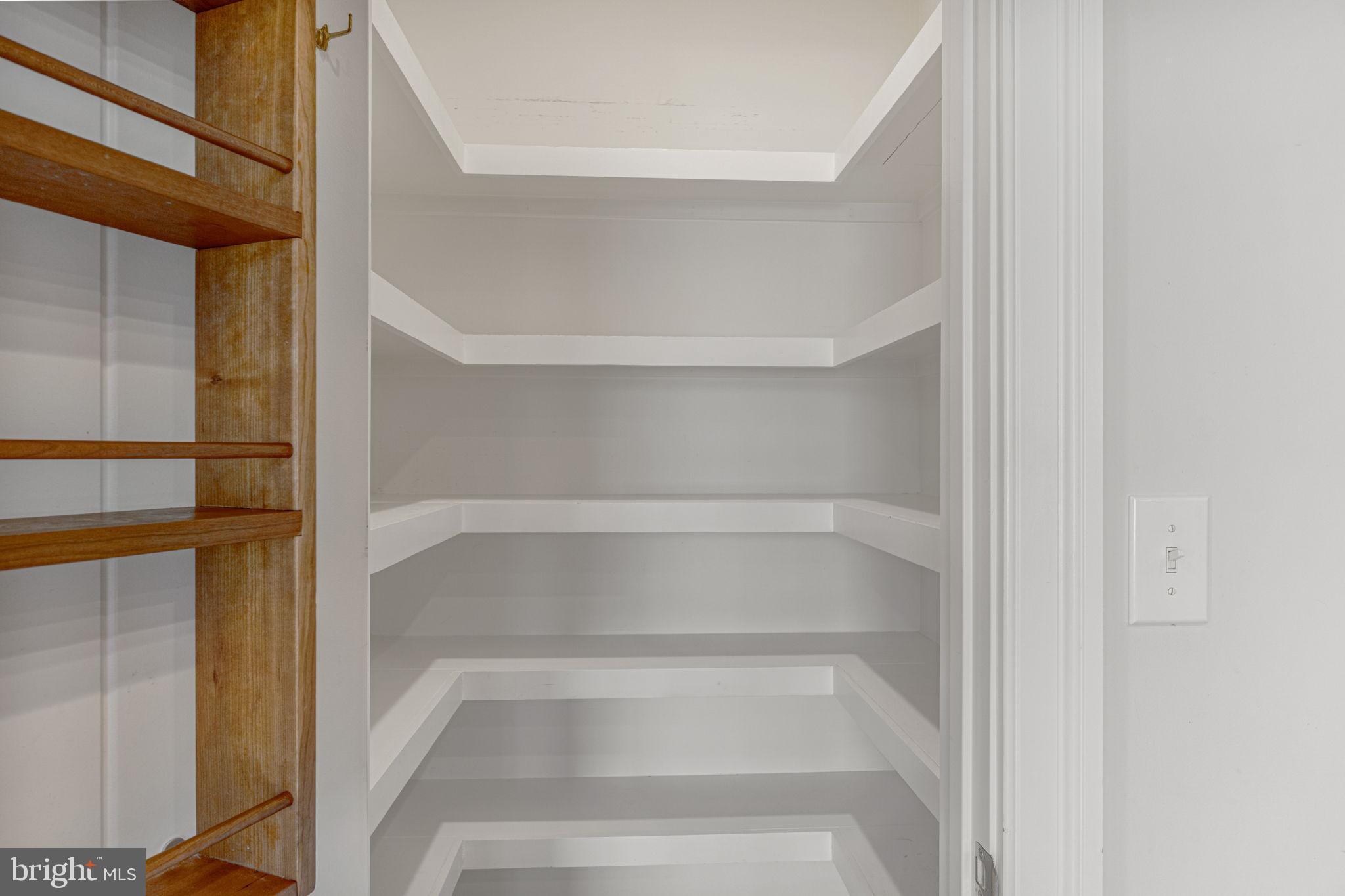 1185 Belle Meade Road Bumpass, VA 23024 - Photo 22 of 116 a view of walk in closet with empty racks