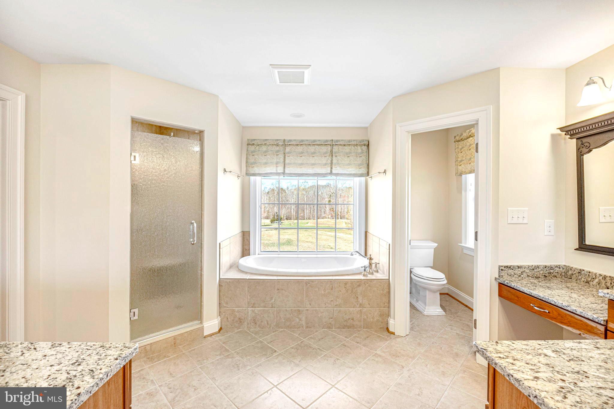 1185 Belle Meade Road Bumpass, VA 23024 - Photo 46 of 116 a bathroom with a granite countertop sink a toilet and shower