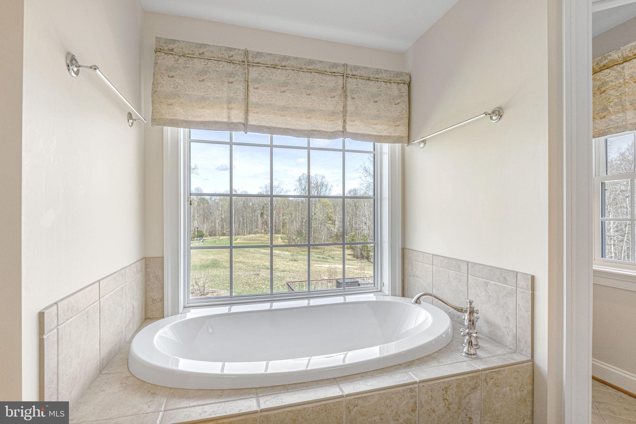 1185 Belle Meade Road Bumpass, VA 23024 - Photo 50 of 116 a bathroom with a tub and window