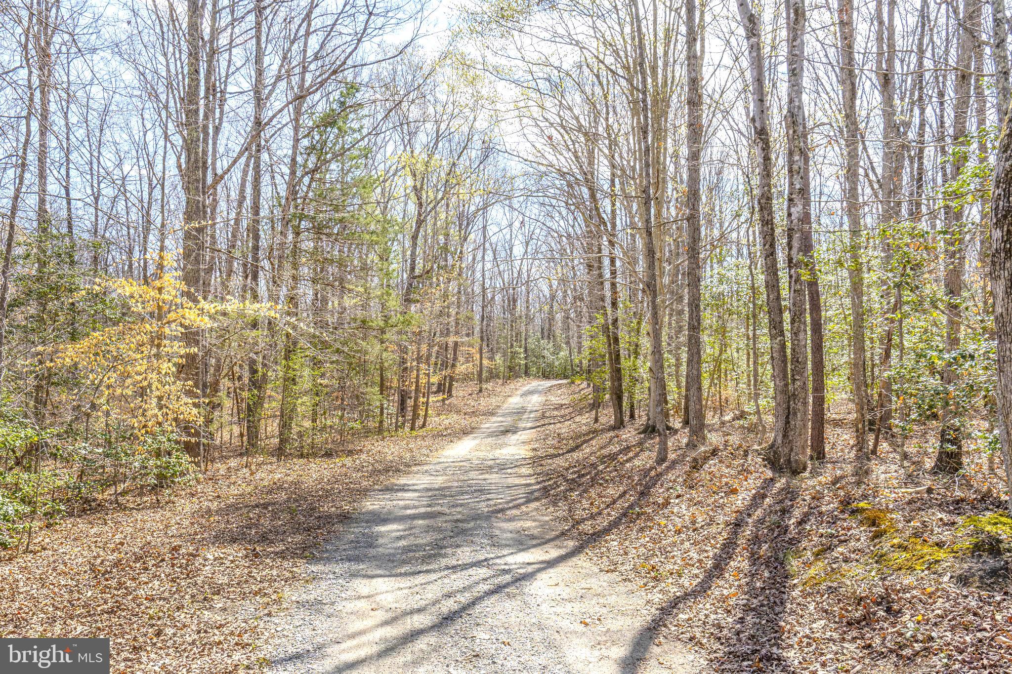 1185 Belle Meade Road Bumpass, VA 23024 - Photo 66 of 116 a view of a backyard of the house