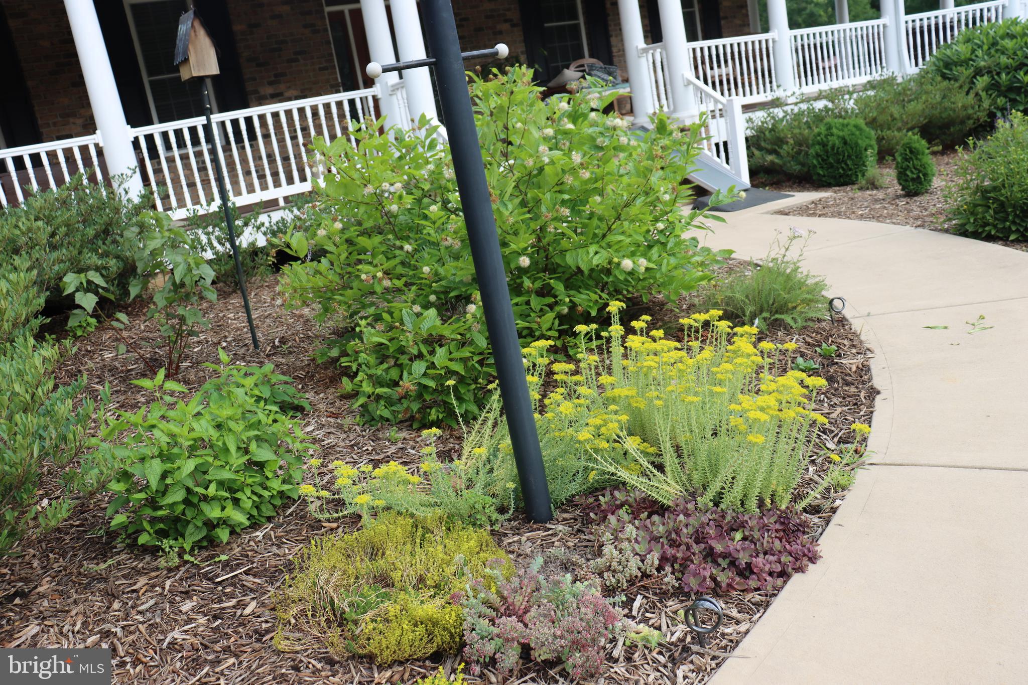 1185 Belle Meade Road Bumpass, VA 23024 - Photo 75 of 116