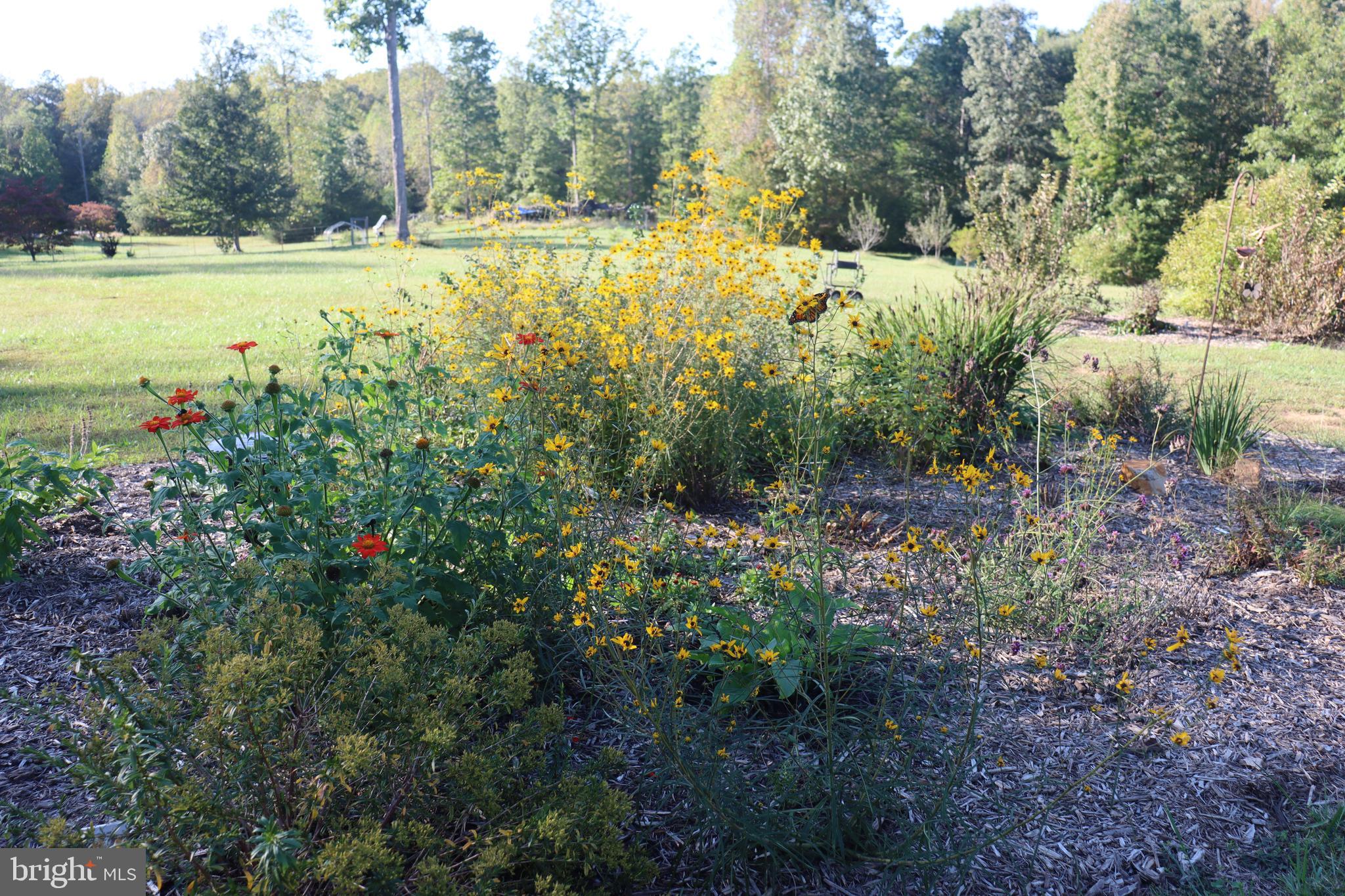 1185 Belle Meade Road Bumpass, VA 23024 - Photo 77 of 116 a view of outdoor space with trees