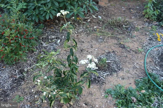 $1,475,000 | 1185 Belle Meade Road, Bumpass, VA 23024