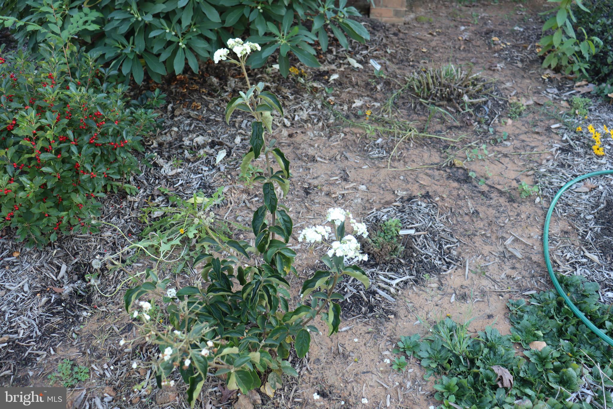 1185 Belle Meade Road Bumpass, VA 23024 - Photo 80 of 116