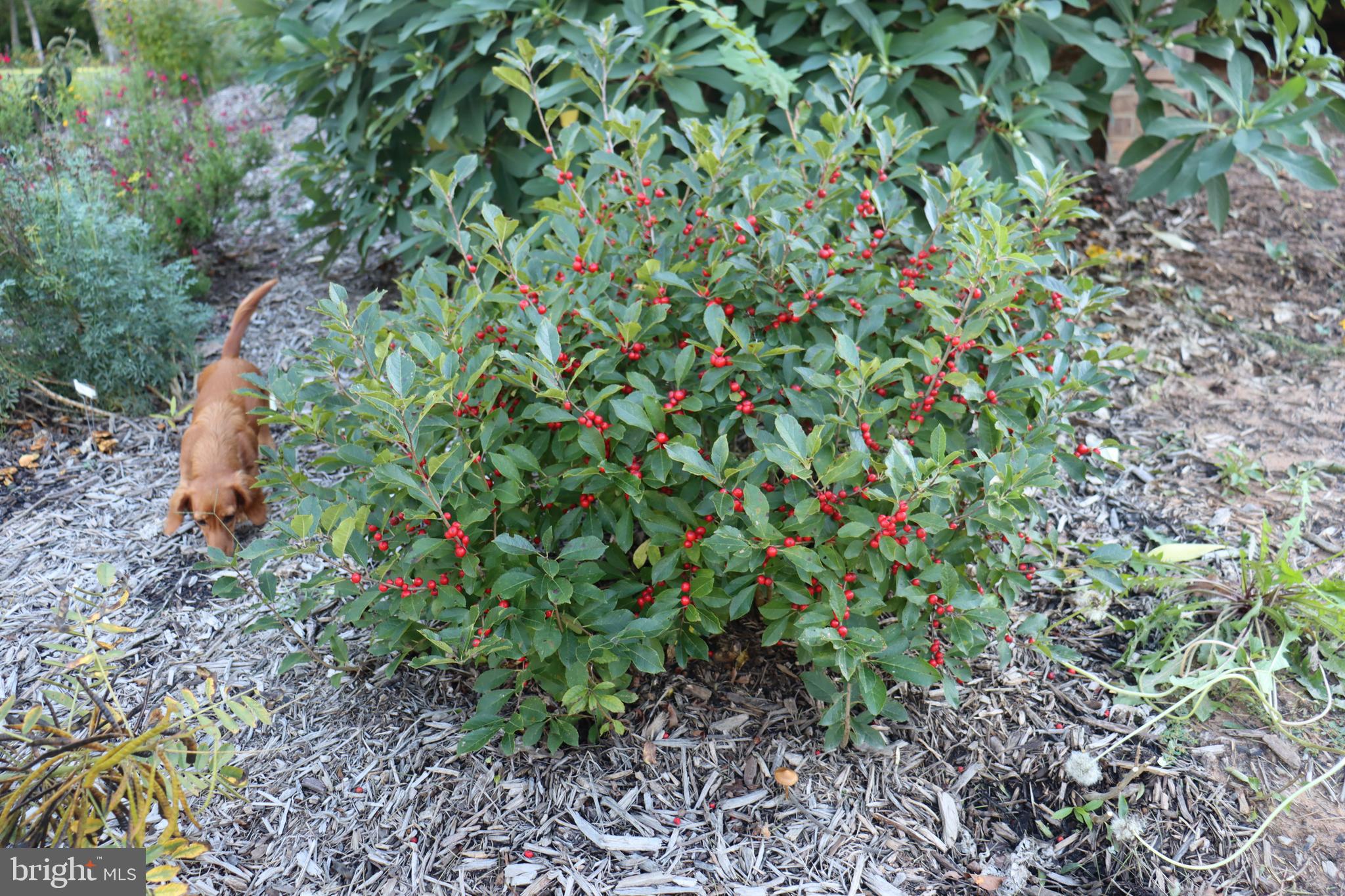 1185 Belle Meade Road Bumpass, VA 23024 - Photo 81 of 116