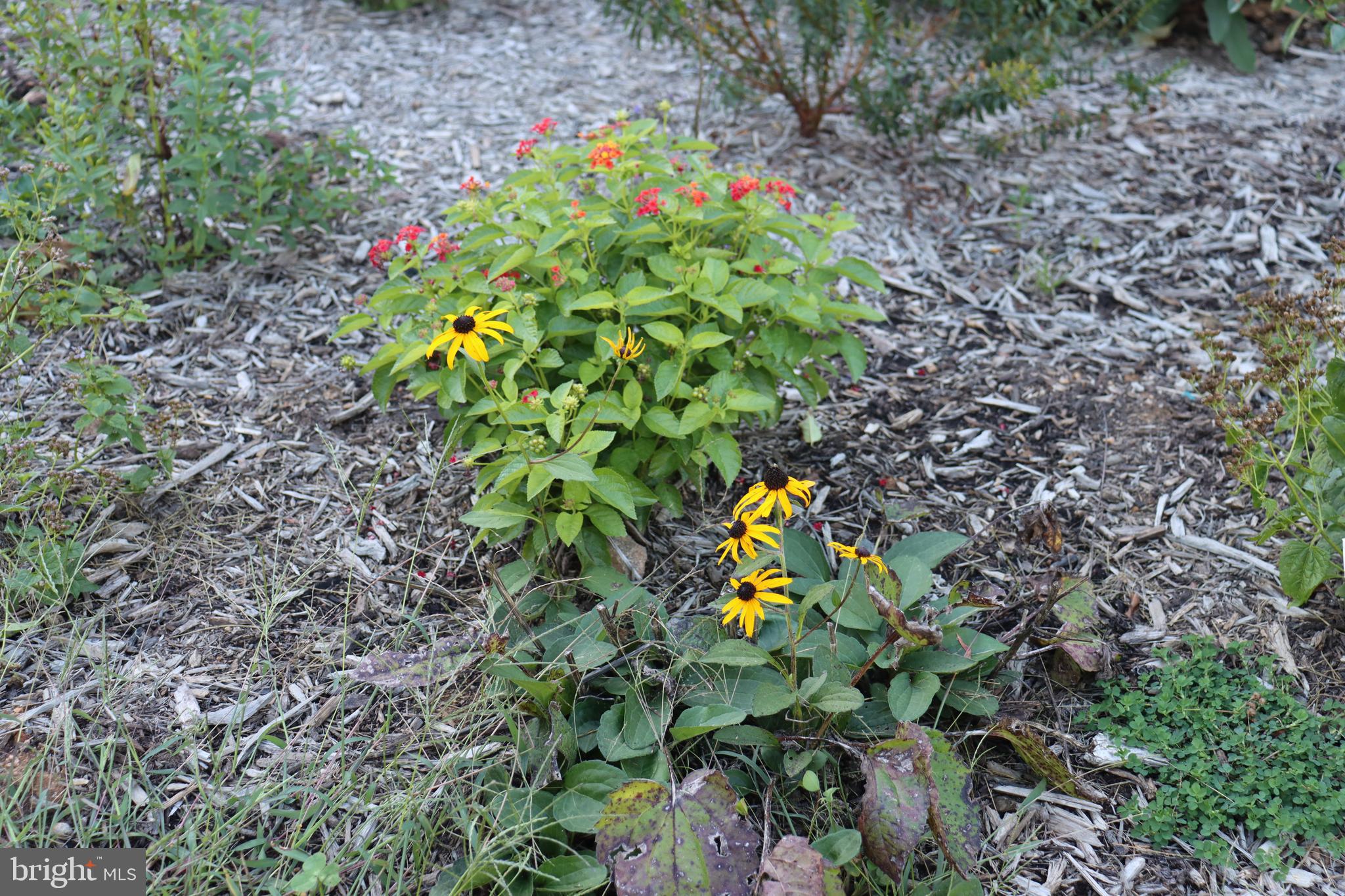 1185 Belle Meade Road Bumpass, VA 23024 - Photo 82 of 116