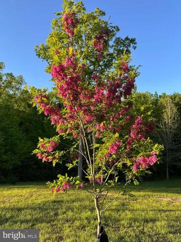 $1,475,000 | 1185 Belle Meade Road, Bumpass, VA 23024