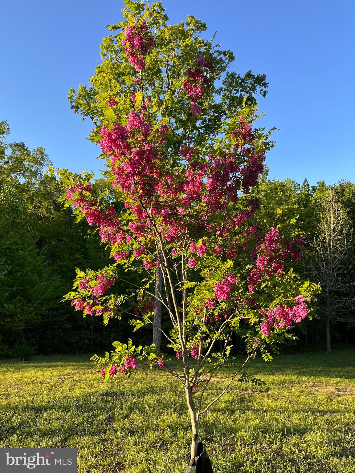 1185 Belle Meade Road Bumpass, VA 23024 - Photo 87 of 116