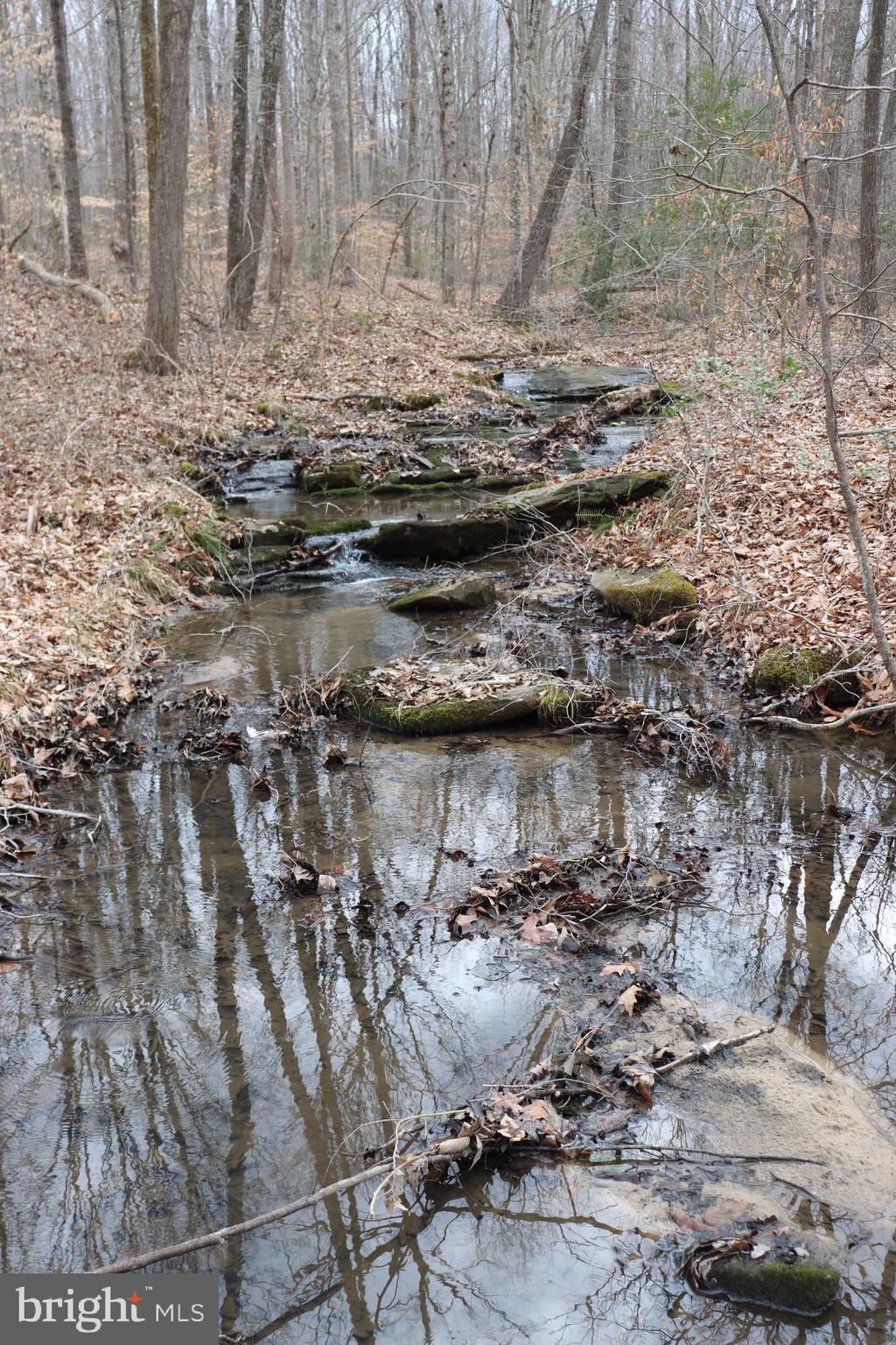 1185 Belle Meade Road Bumpass, VA 23024 - Photo 93 of 116
