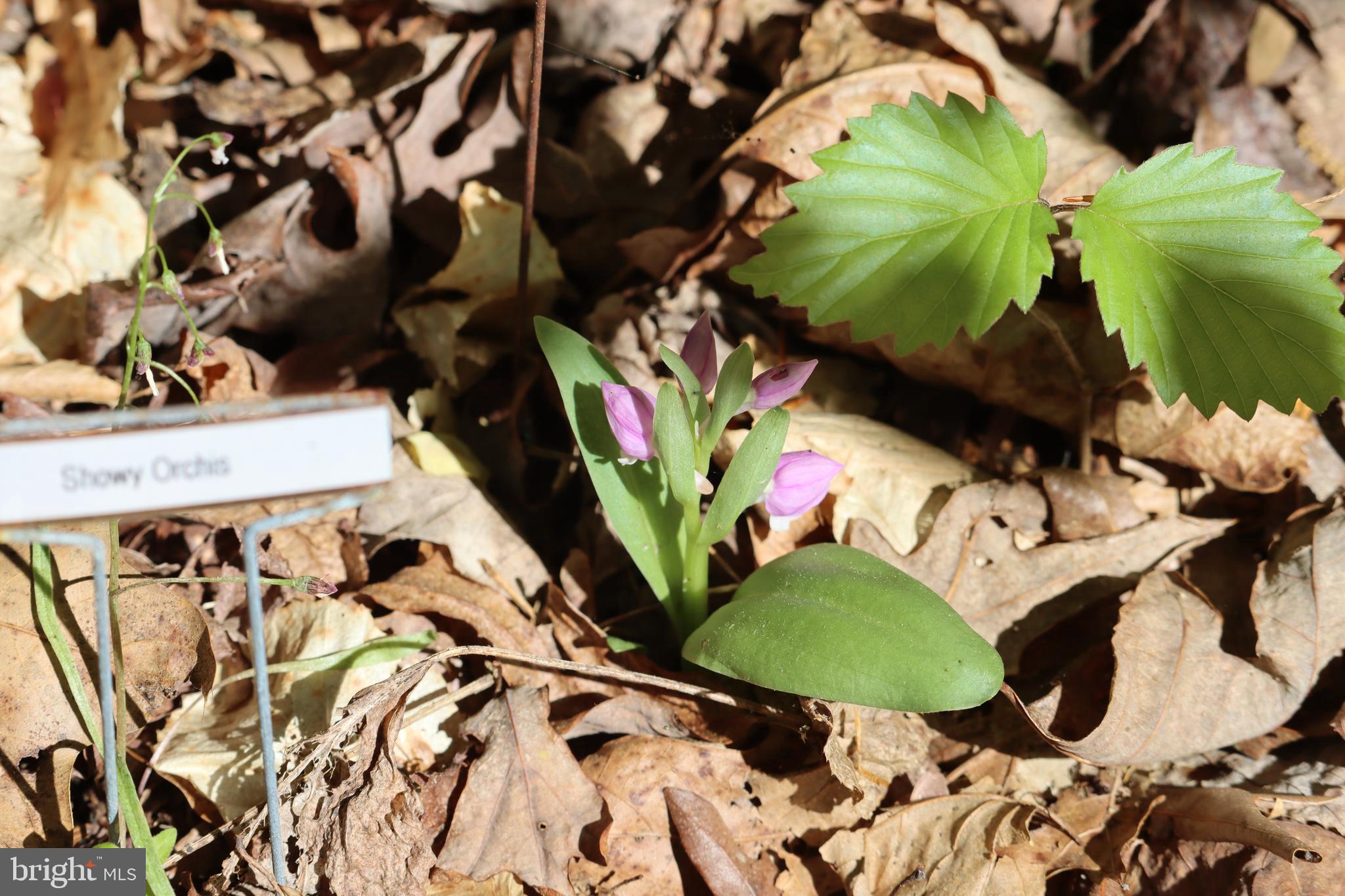 1185 Belle Meade Road Bumpass, VA 23024 - Photo 99 of 116