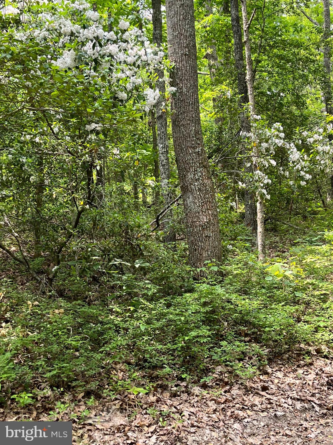 1185 Belle Meade Road Bumpass, VA 23024 - Photo 100 of 116