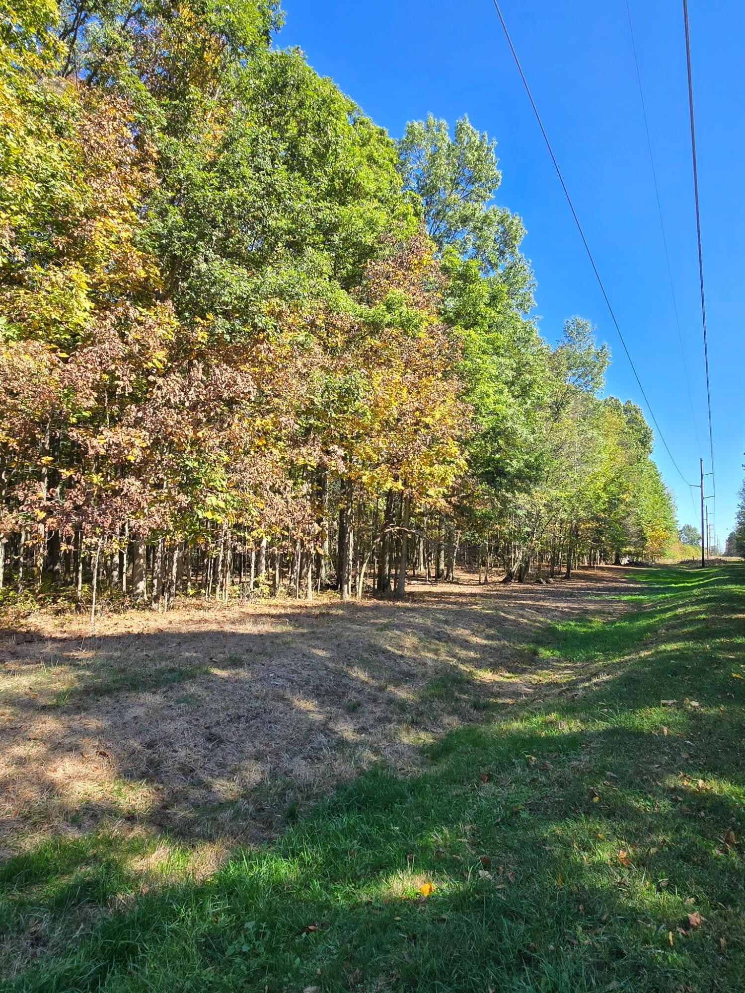 24805 Rapp-Dean Road Raymond, OH 43067 - Photo 6 of 74 Woods