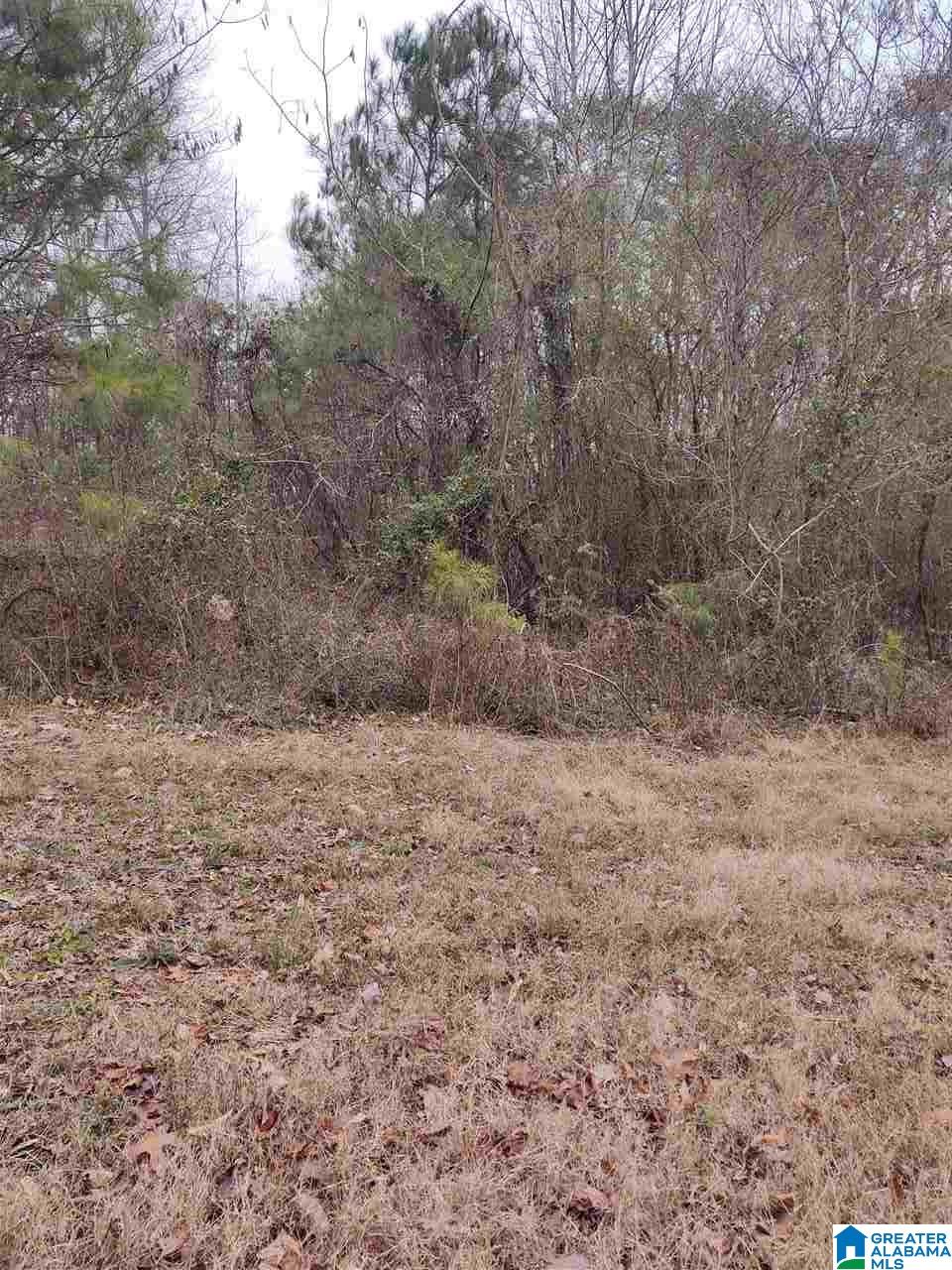 291 Skelton Loop Road Quinton, AL 35130 - Photo 9 of 10