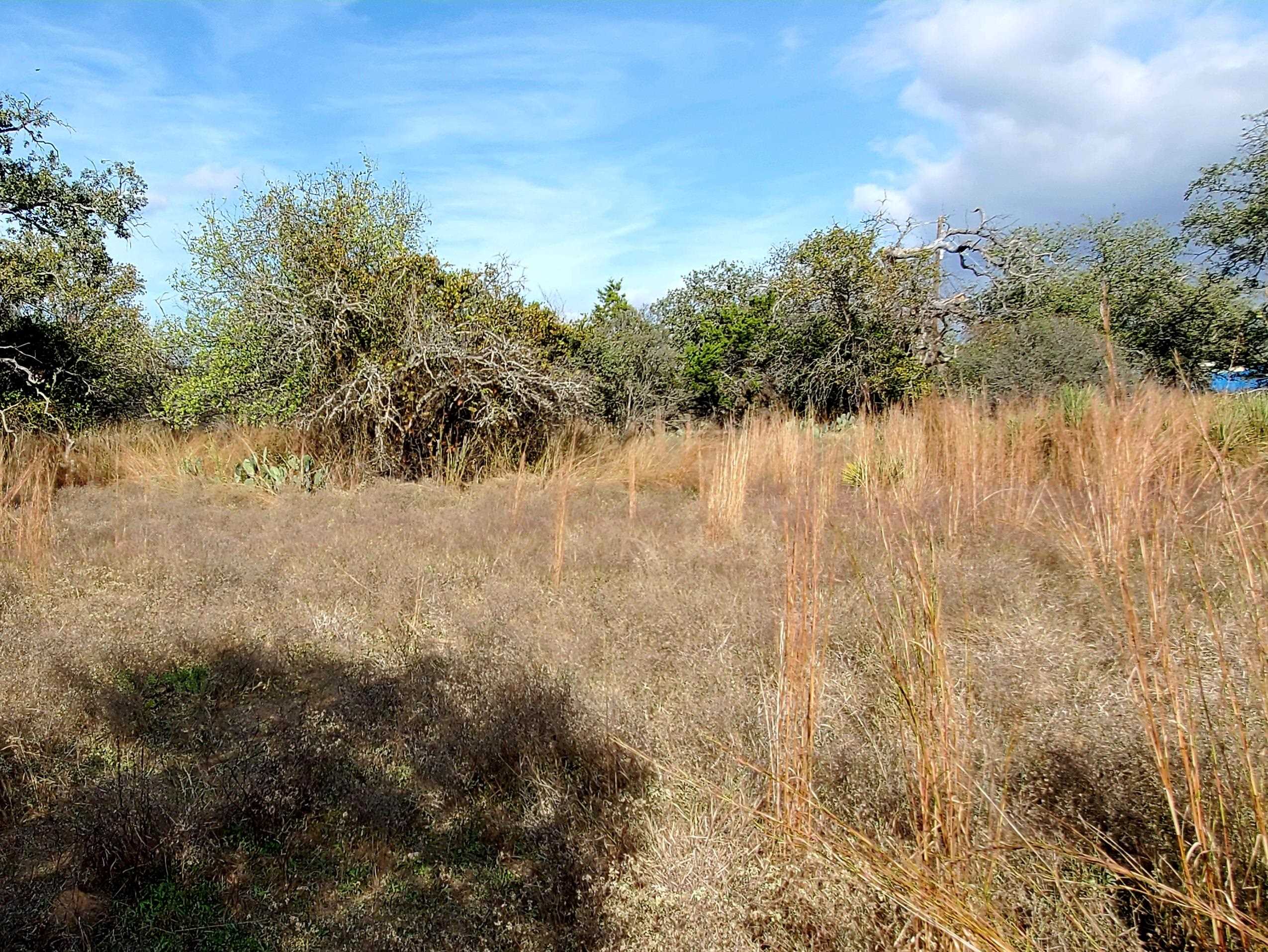 Tbd Drake Kingsland, TX 78639 - Photo 3 of 6 a view of lake