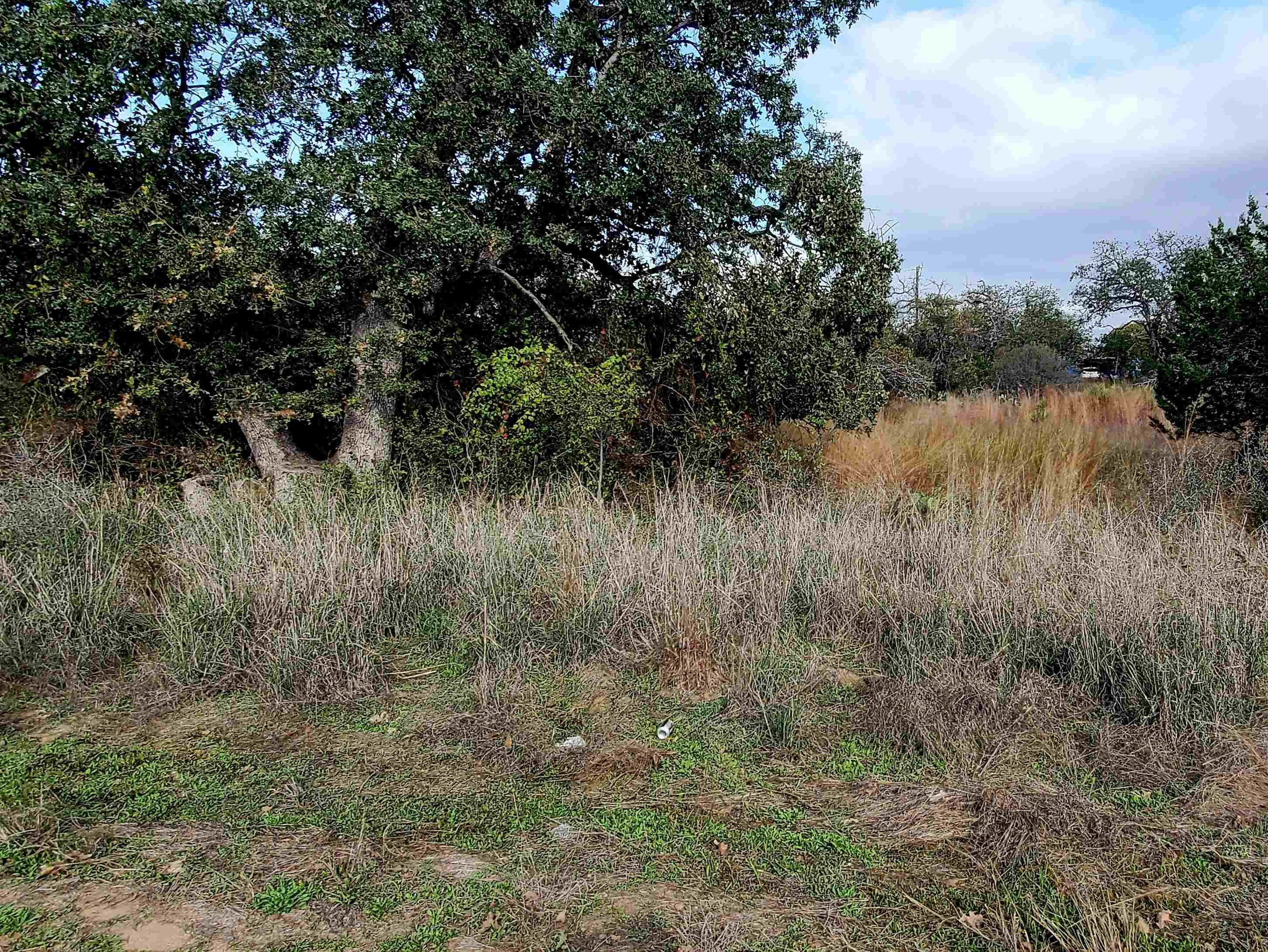 Tbd Drake Kingsland, TX 78639 - Photo 4 of 6 a view of a lake view