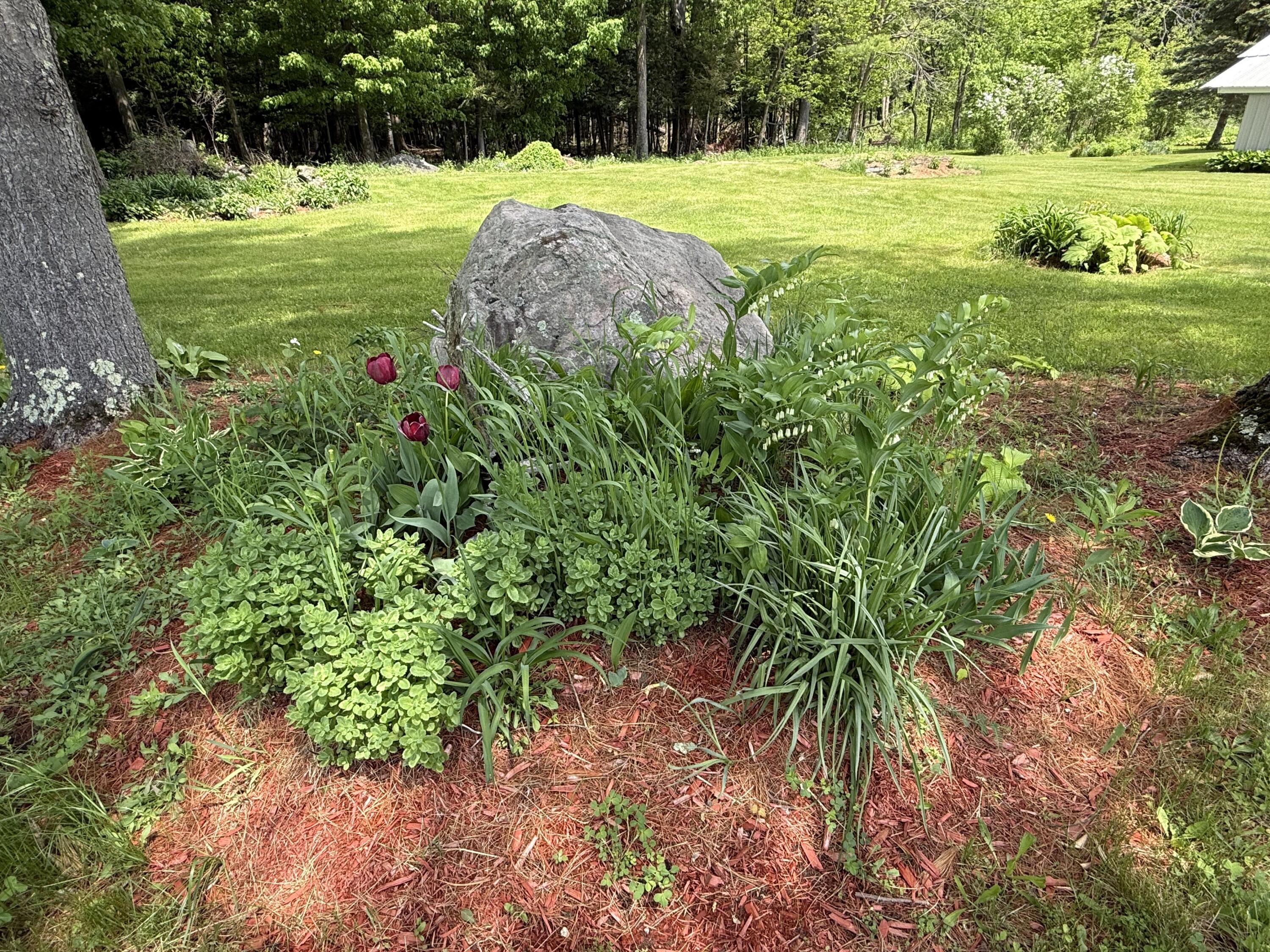 1168 Miner Farm Road Chazy, NY 12921 - Photo 43 of 56 IMG_7585
