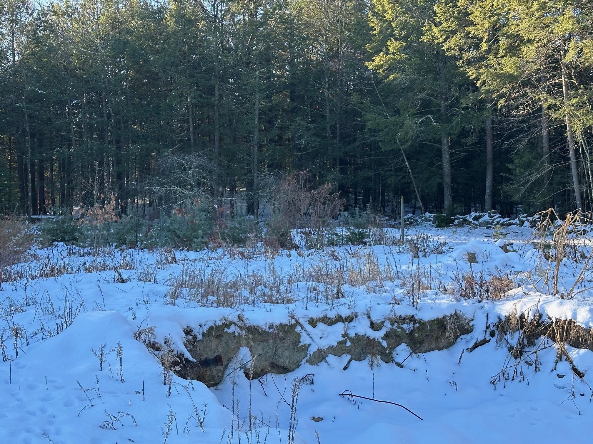 95 Winch Hill Road Swanzey, NH 03446 - Photo 13 of 14