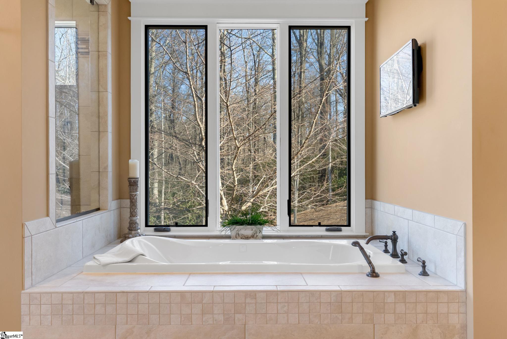 38 Falling Star Way Landrum, SC 29356 - Photo 24 of 48