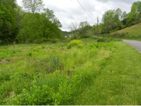 Tbd Hunters Valley W Road Duffield, VA 24244 - Photo 1 of 2 Photo 1