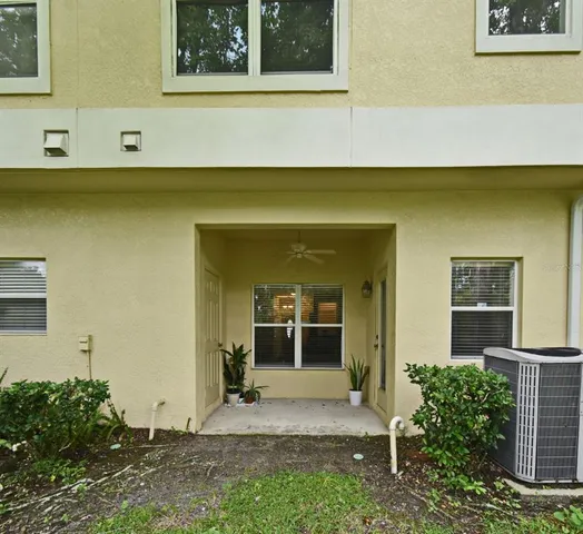 a view of a park with a tree