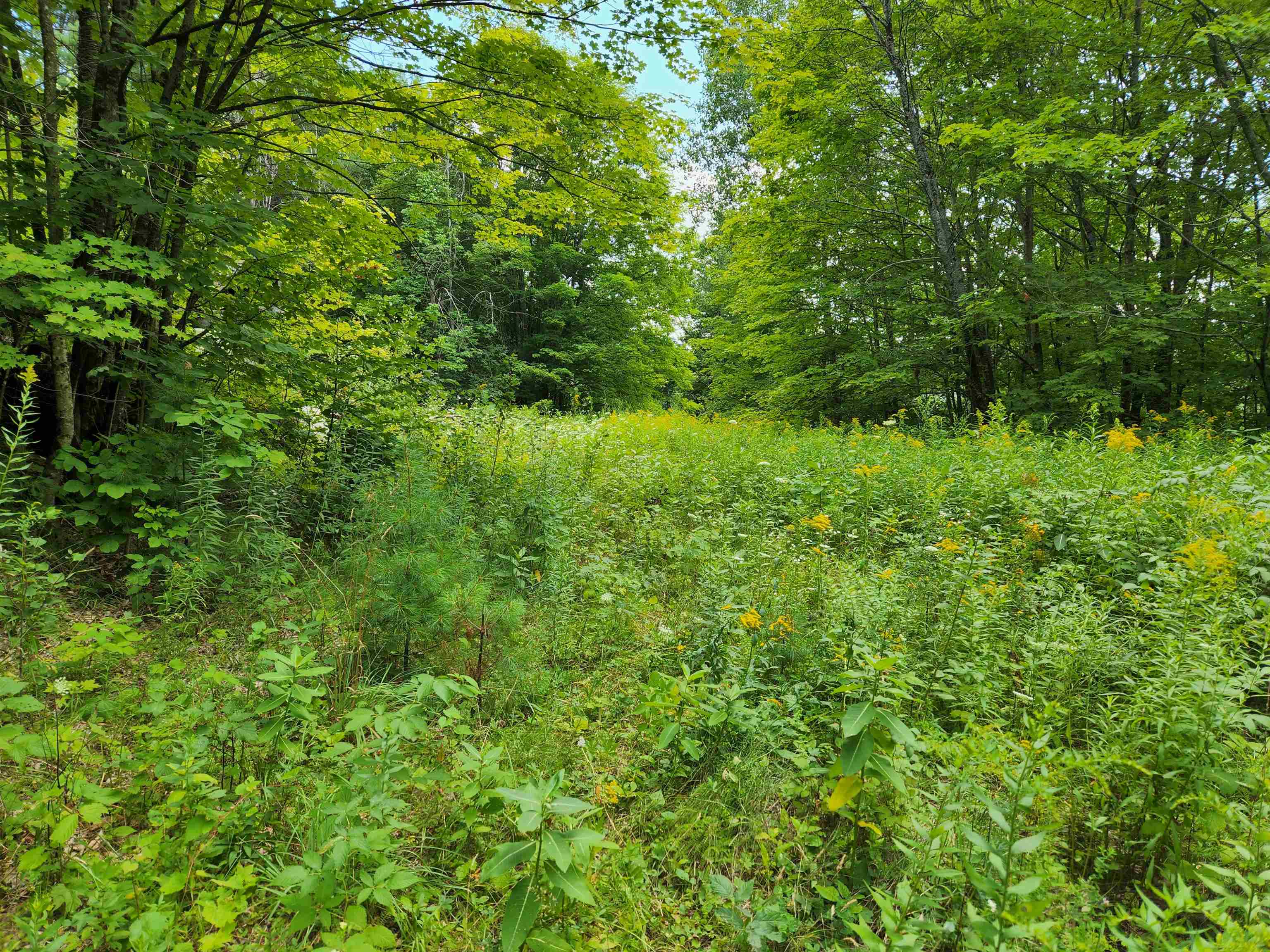 454 Durgin Hill Road Vershire, VT 05079 - Photo 1 of 12