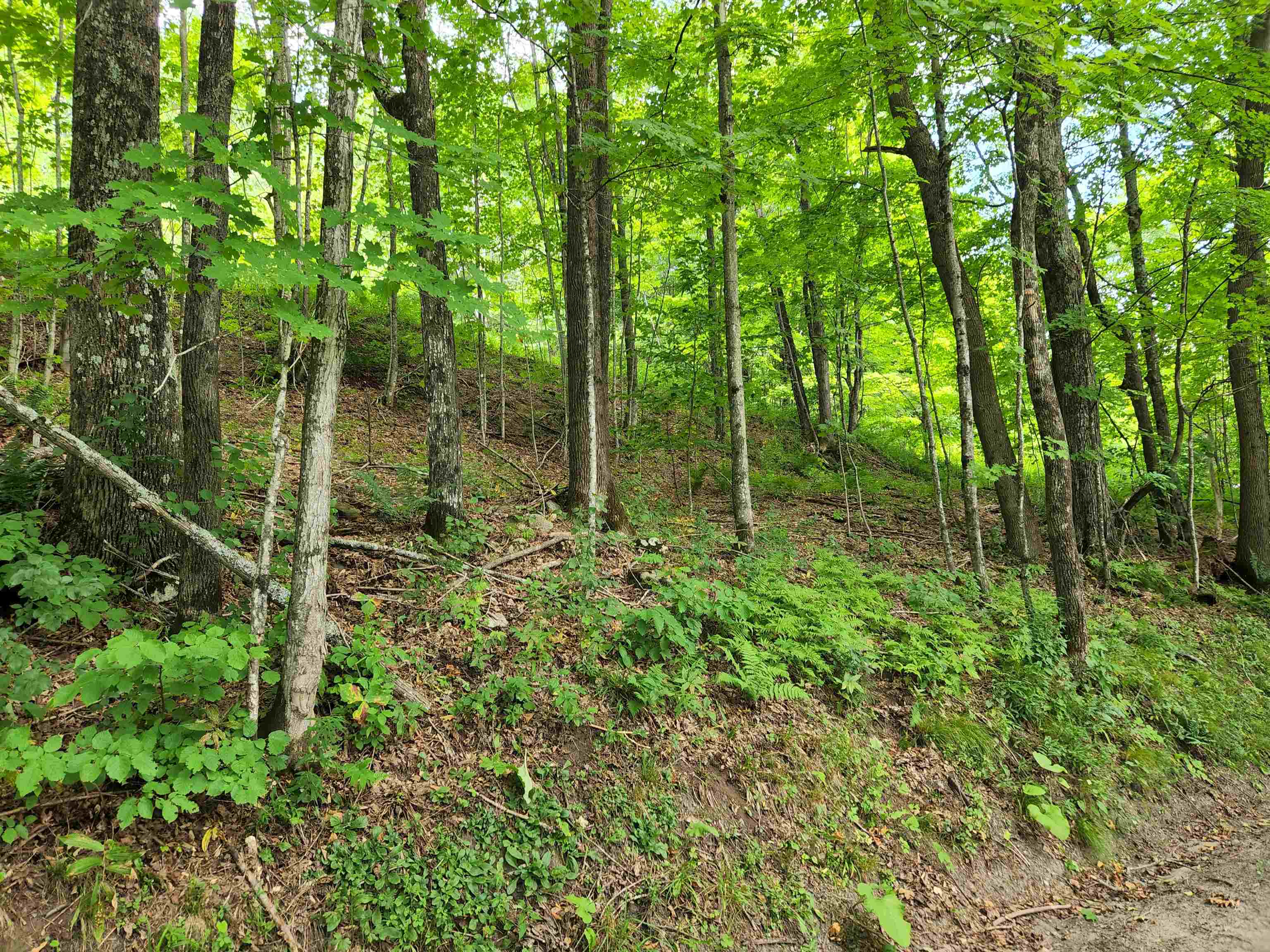 454 Durgin Hill Road Vershire, VT 05079 - Photo 11 of 12