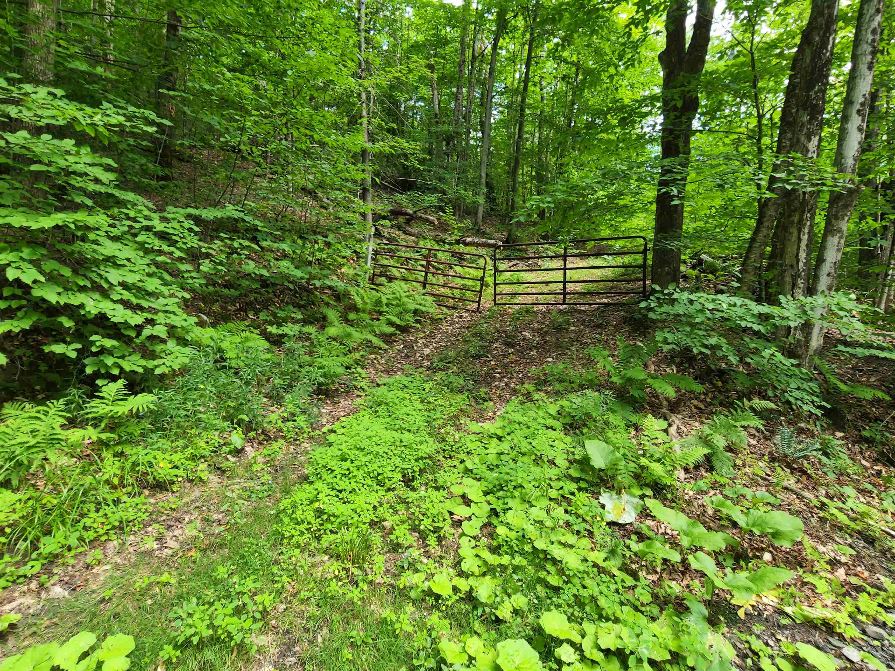 454 Durgin Hill Road Vershire, VT 05079 - Photo 3 of 12