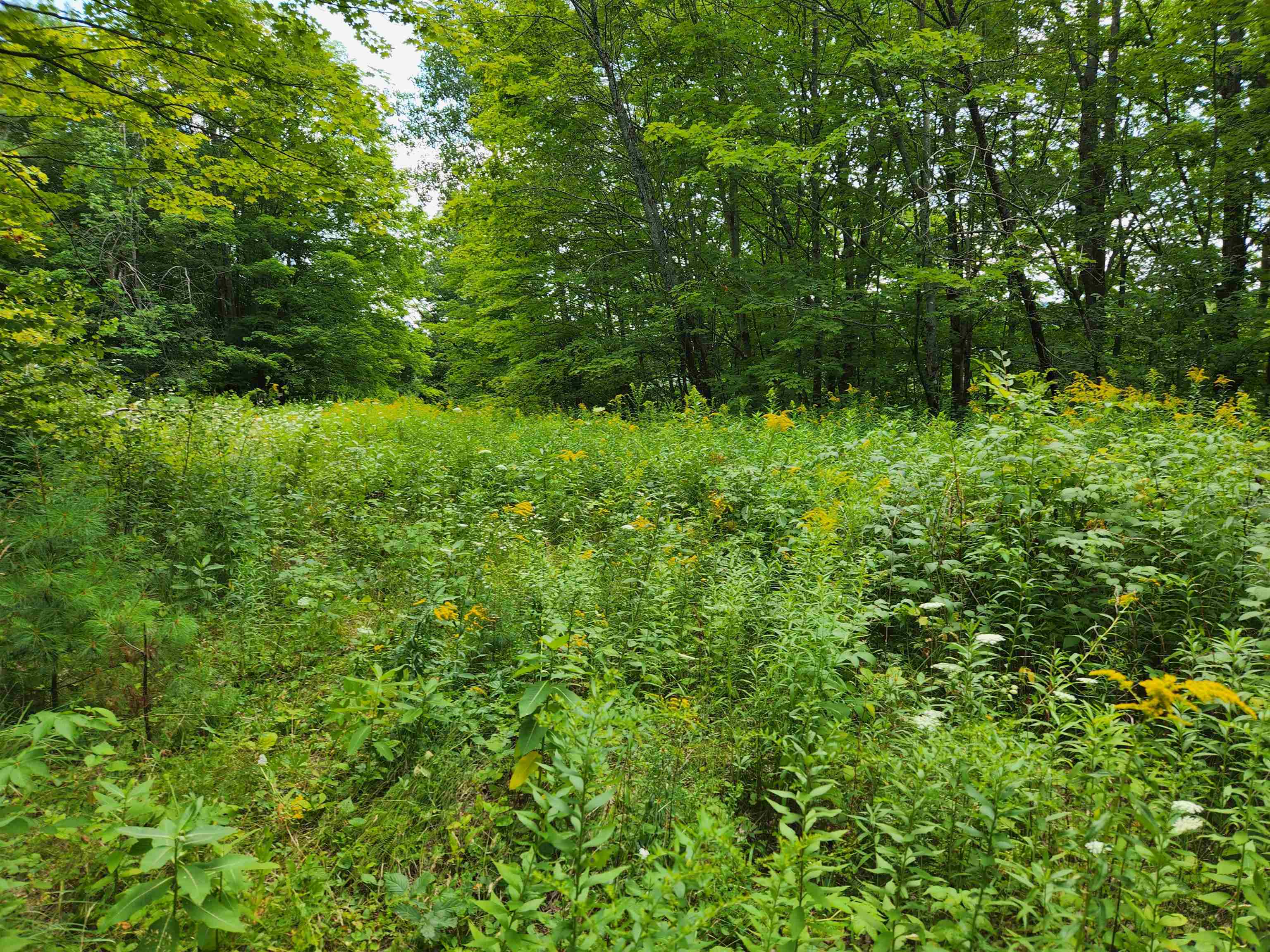 454 Durgin Hill Road Vershire, VT 05079 - Photo 7 of 12