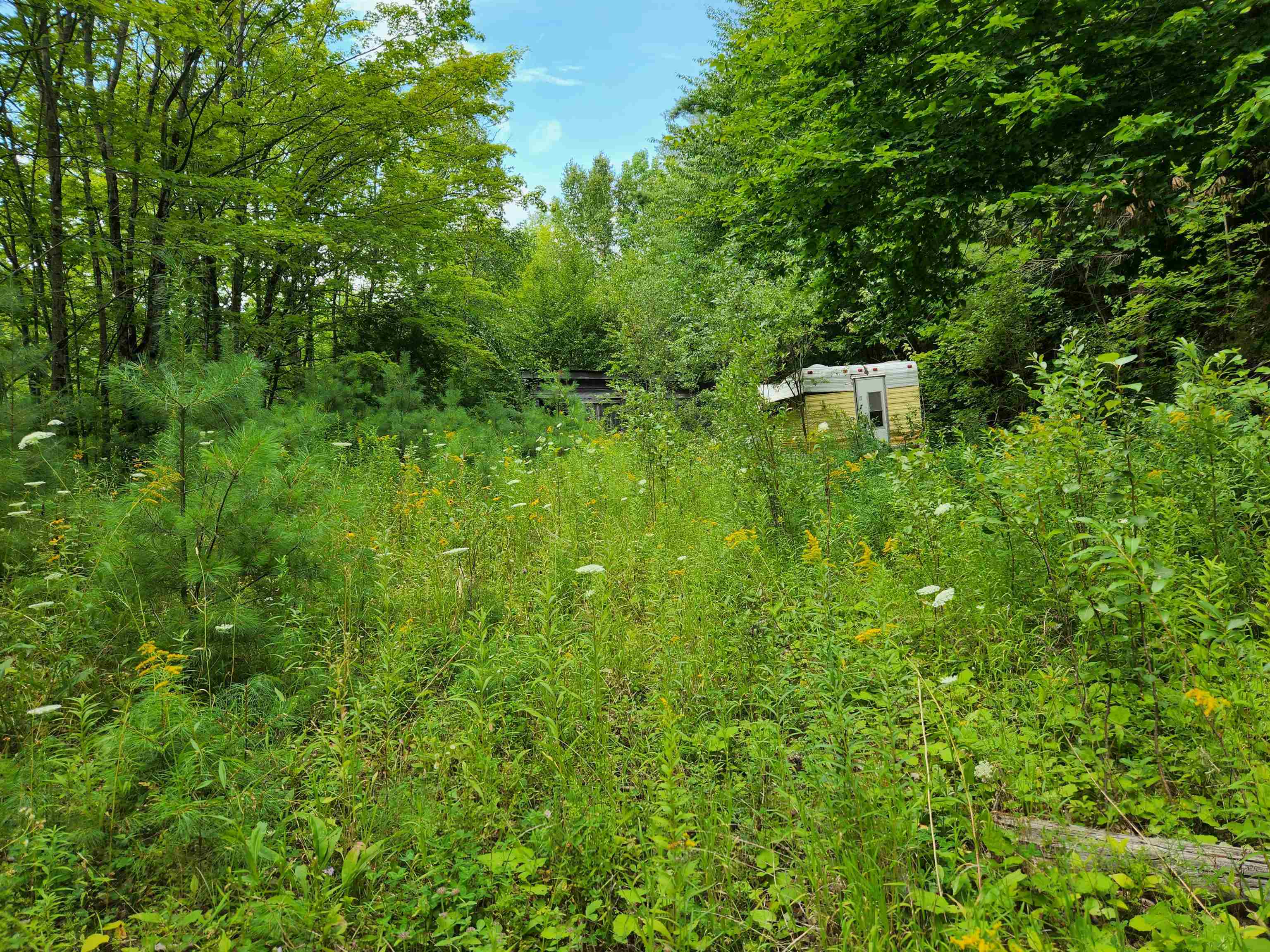454 Durgin Hill Road Vershire, VT 05079 - Photo 9 of 12