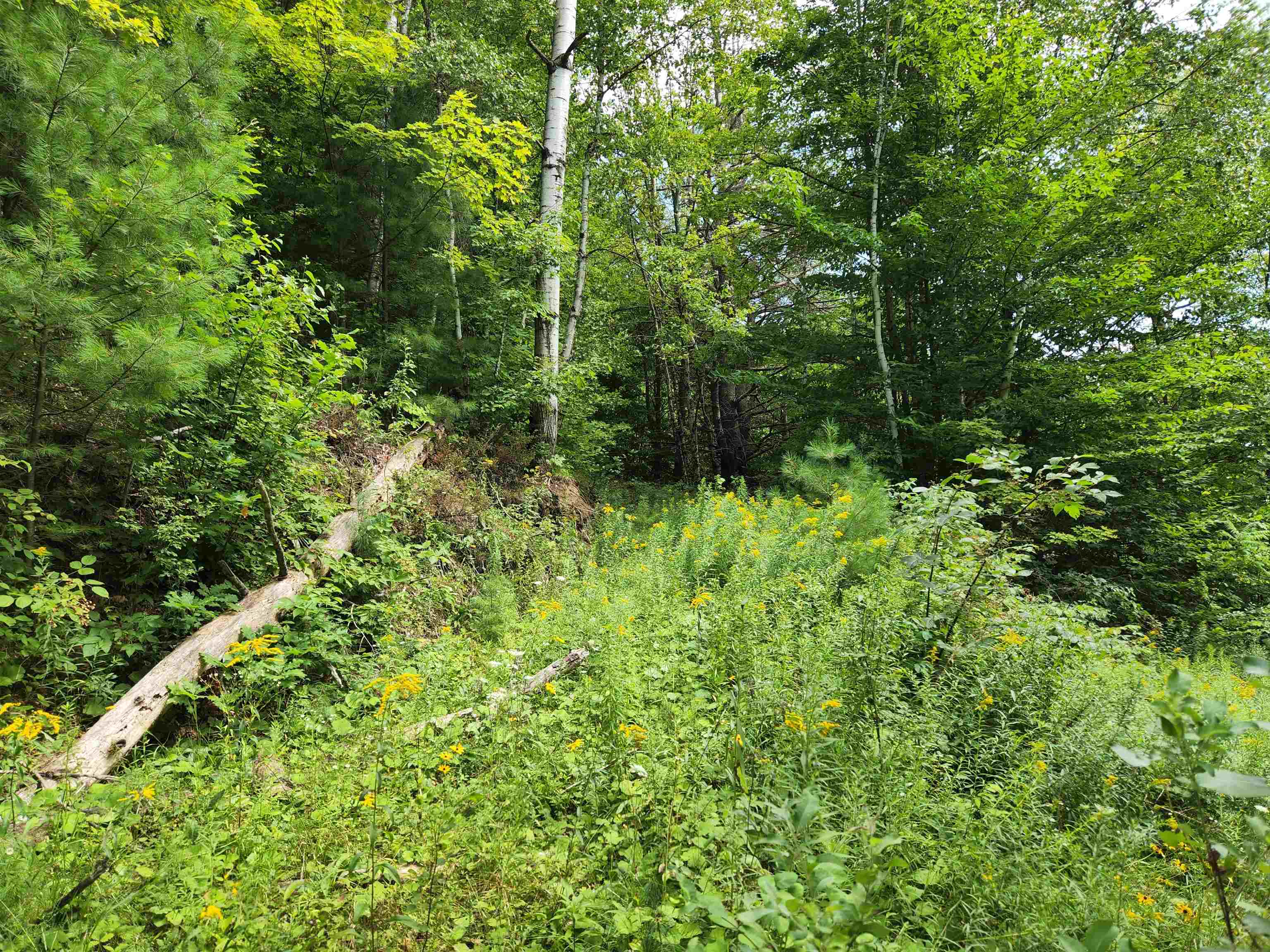 454 Durgin Hill Road Vershire, VT 05079 - Photo 10 of 12