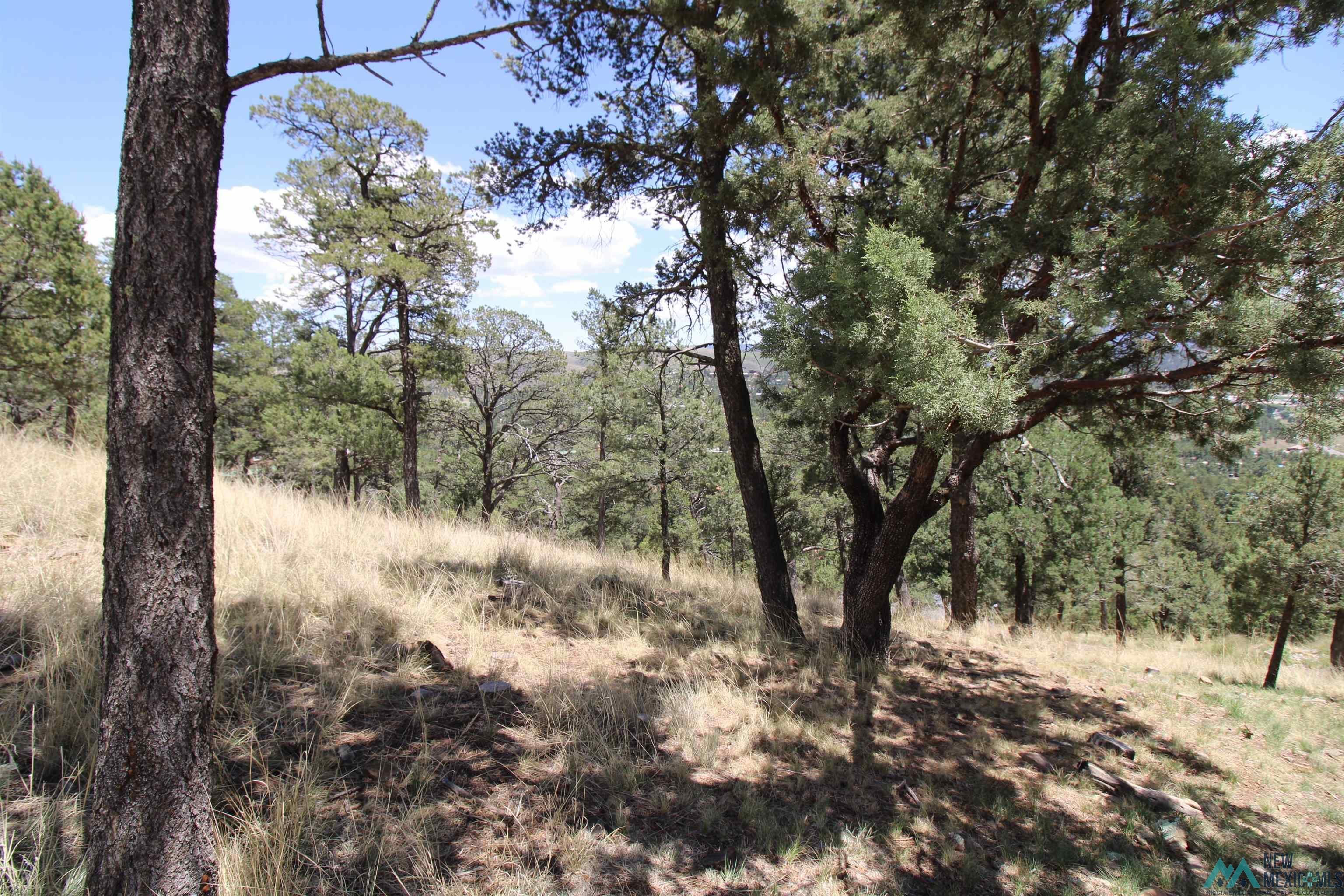 105 Valley Drive Ruidoso, NM 88345 - Photo 6 of 6