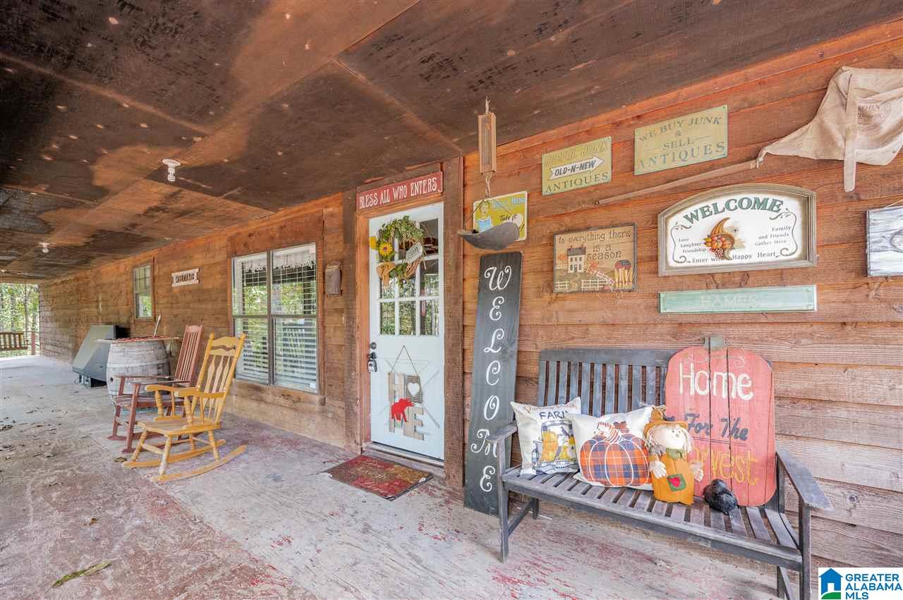 1399 Camp Winnataska Road Pell City, AL 35128 - Photo 3 of 38