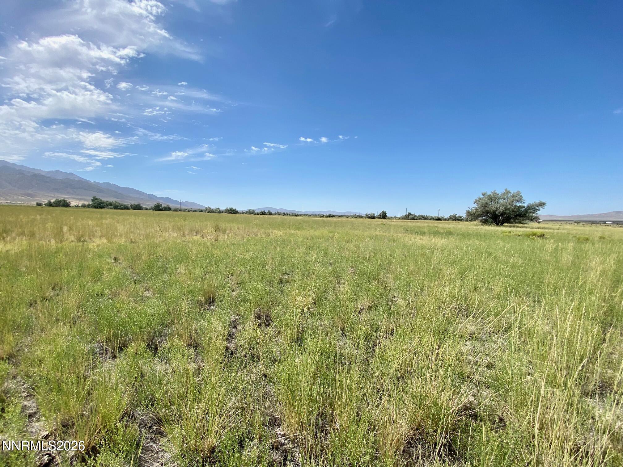 22150 Chimney Creek Road Lovelock, NV 89419 - Photo 9 of 11 a view of an ocean from a yard