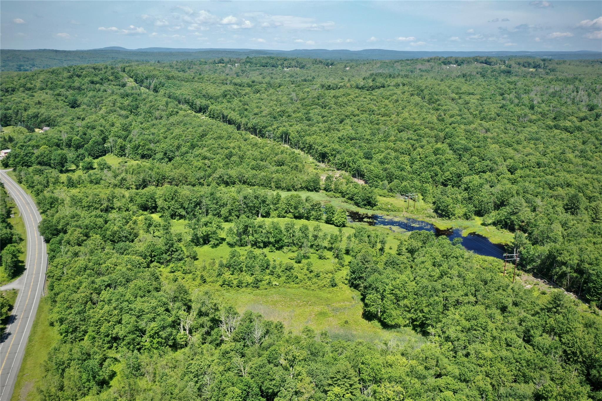 52 Rt Wawarsing, NY 12489 - Photo 11 of 41 a view of a big yard with lots of green space
