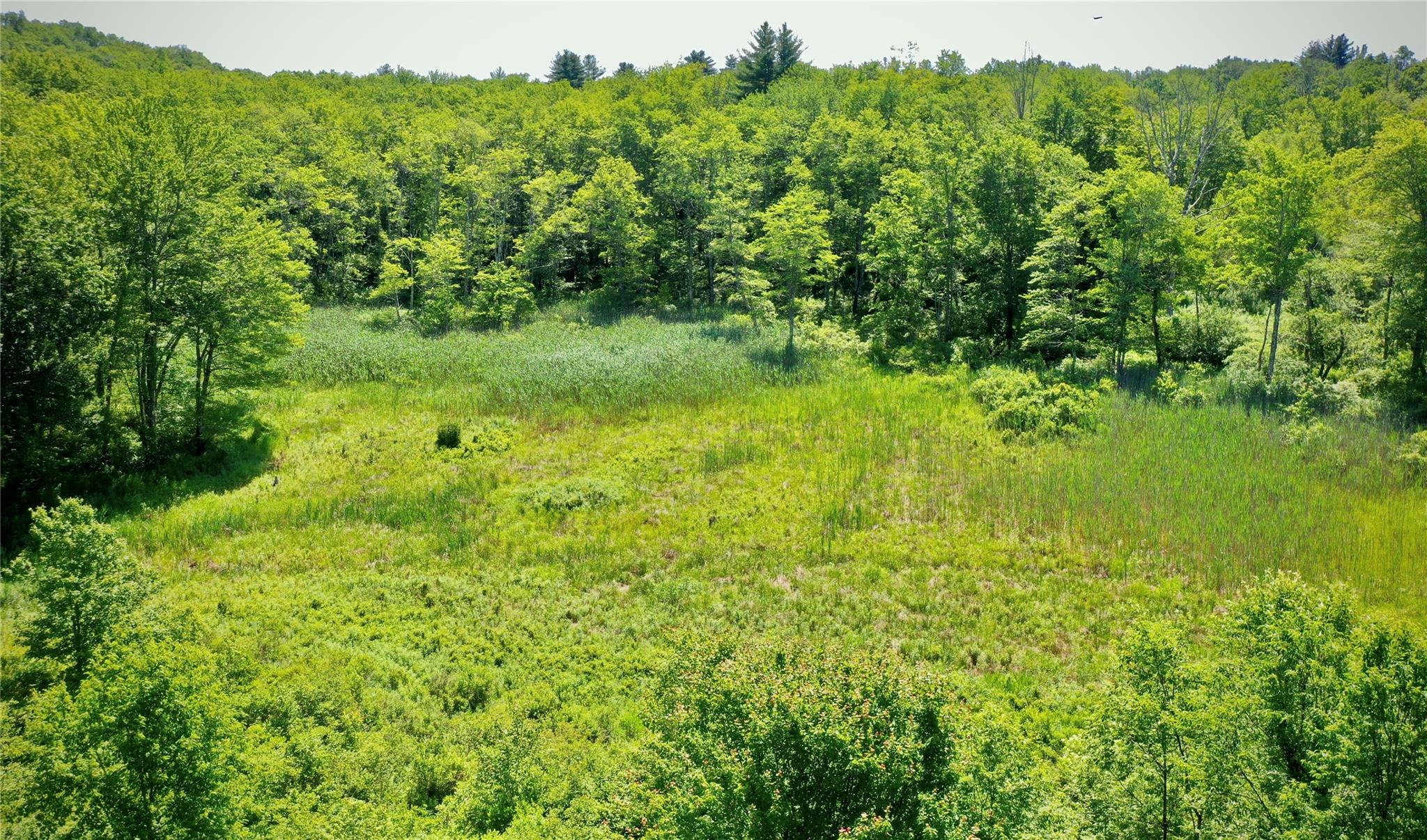 52 Rt Wawarsing, NY 12489 - Photo 16 of 41 a view of a lush green forest with trees in the background
