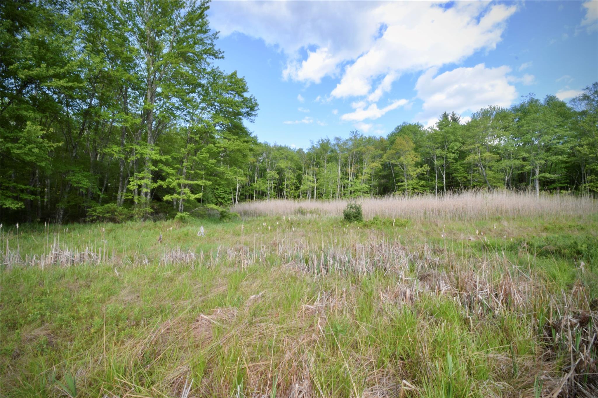 52 Rt Wawarsing, NY 12489 - Photo 18 of 41 a view of lake with green space