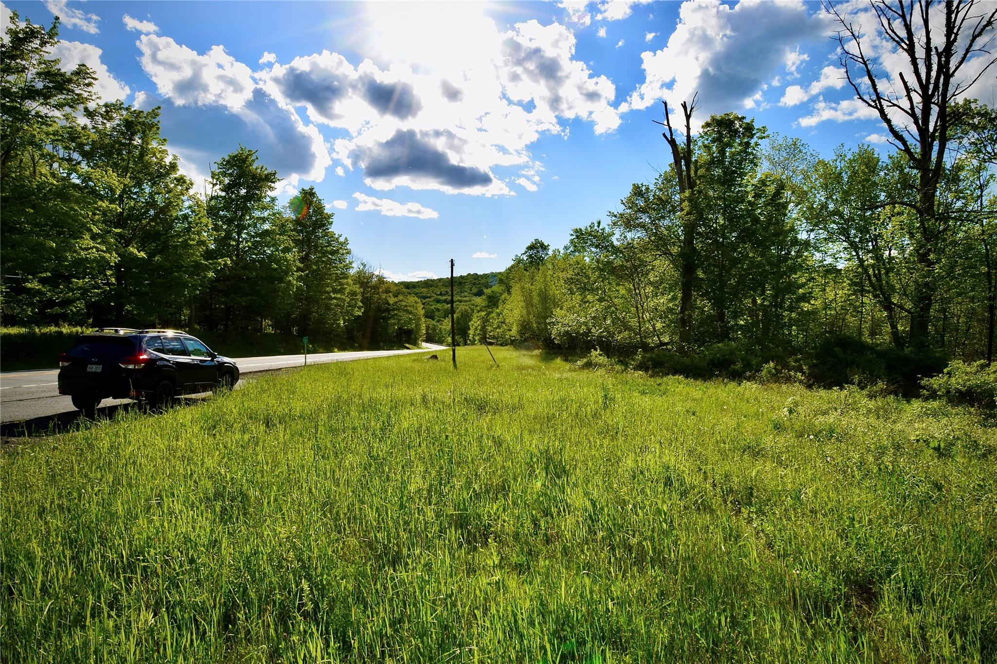 52 Rt Wawarsing, NY 12489 - Photo 19 of 41 a view of yard with car parked