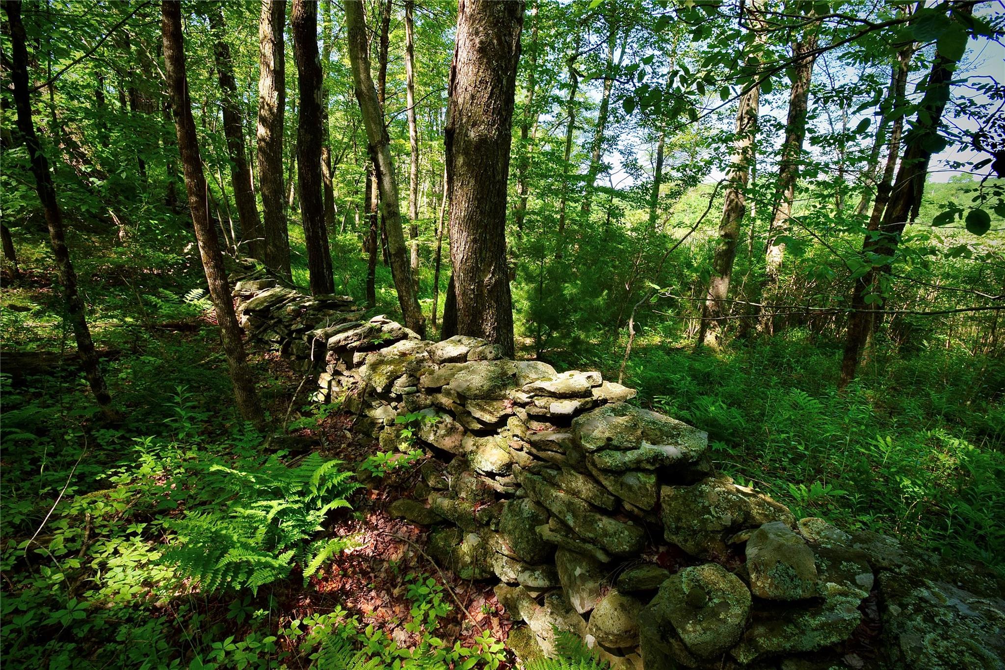 52 Rt Wawarsing, NY 12489 - Photo 20 of 41 a backyard of a house with lots of green space